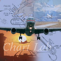 Flight planning charts