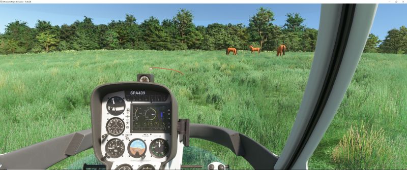 Wildlife in Fltsim 2020  11 