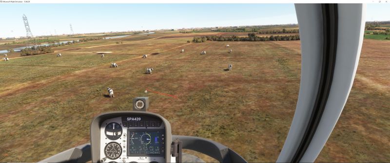 Wildlife in Fltsim 2020  15 
