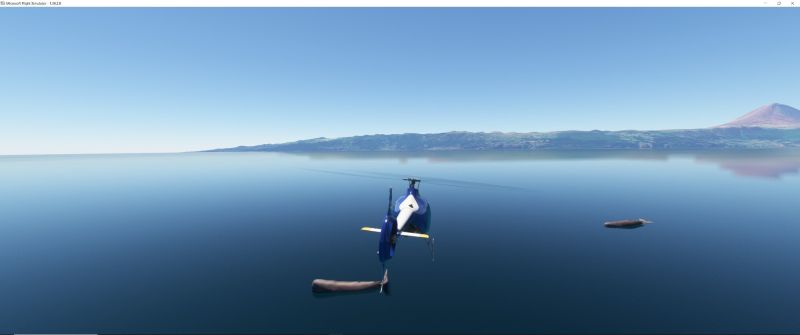 Wildlife in Fltsim 2020  18 