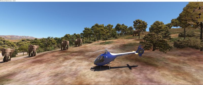 Wildlife in Fltsim 2020  1 
