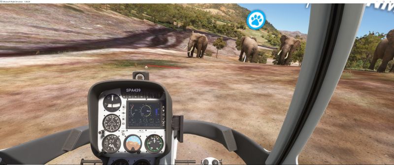 Wildlife in Fltsim 2020  2 