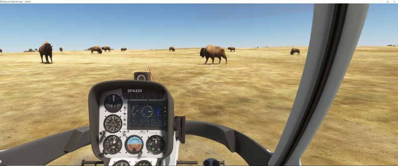 Wildlife in Fltsim 2020  3 