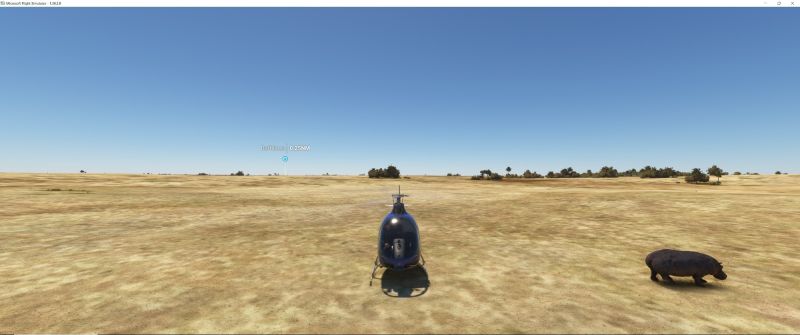 Wildlife in Fltsim 2020  4 