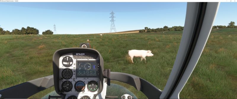 Wildlife in Fltsim 2020  5 