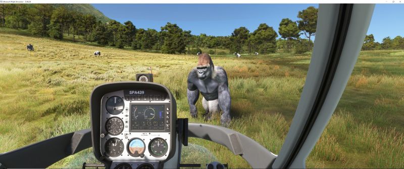 Wildlife in Fltsim 2020  6 