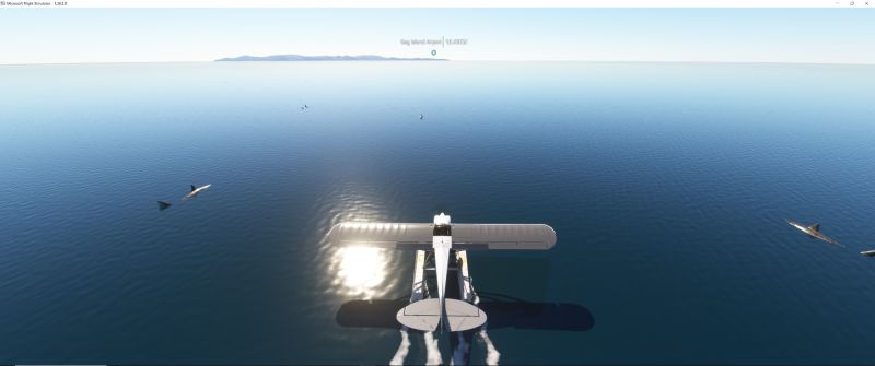 Wildlife in Fltsim 2020  7 